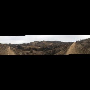 Meet your Posher, Bernadette